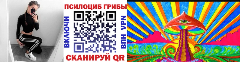 Псилоцибиновые грибы MAGIC MUSHROOMS  Тверь 
