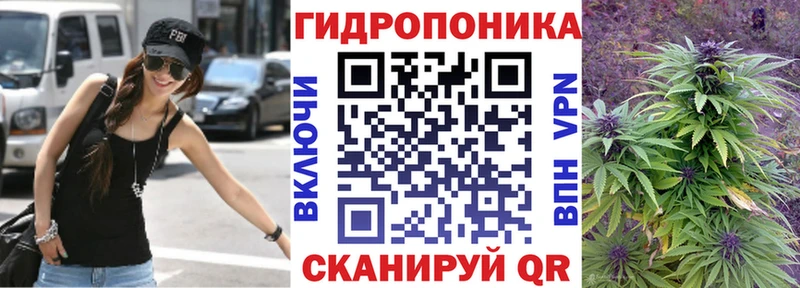 ссылка на мегу как войти  даркнет наркотические препараты  Шишки марихуана конопля  Тверь 